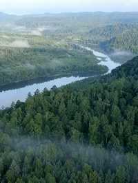 在伊春找到了現實版綠野仙蹤!!|湯旺河林海奇石的一天