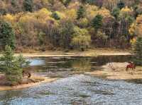 普達措生態秘境指南