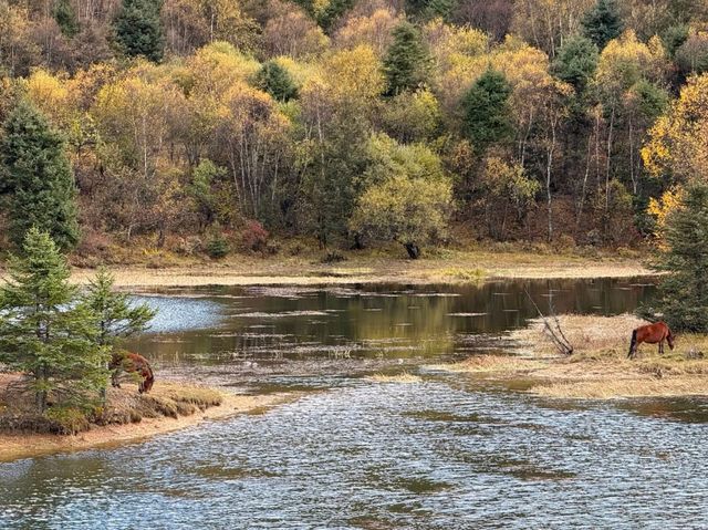 普達措生態秘境指南