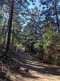 四明山十字褲徒步 上海-餘姚