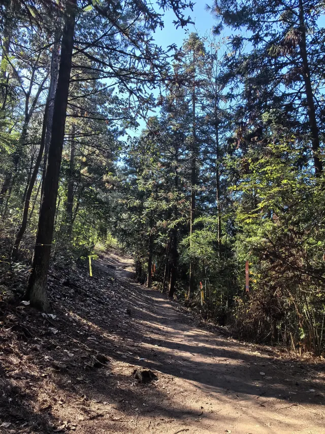 四明山十字褲徒步 上海-餘姚