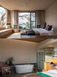 哀牢山這家民宿！躺床上就能追雲海日出