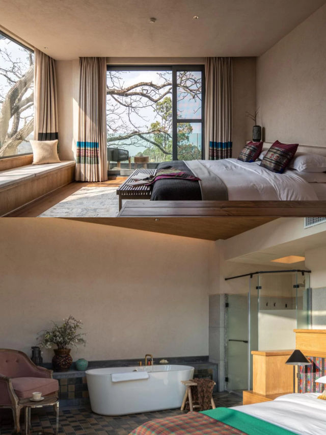 哀牢山這家民宿！躺床上就能追雲海日出