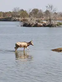 鹽城｜江蘇肯尼亞名不虛傳