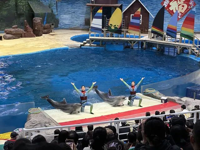 天津海洋極地公園｜必看四大海洋秀