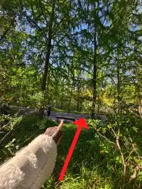 原圖直出的地方終於找到了附路線攻略