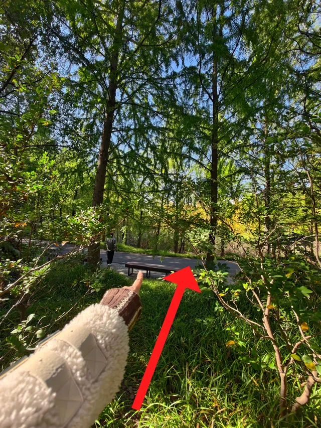 原圖直出的地方終於找到了附路線攻略