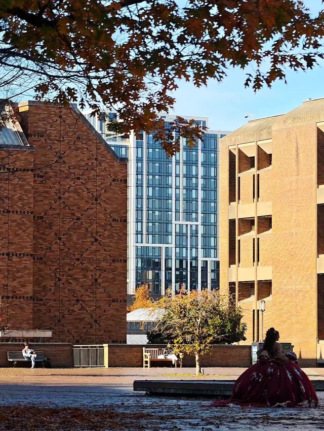 華盛頓大學絕美金秋