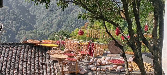 江西5日遊攻略｜南昌進→德安→景德鎮→婺源→望仙谷→南昌