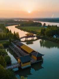 杭州灣濕地公園親子攻略!觀鳥+科普+遛娃一站