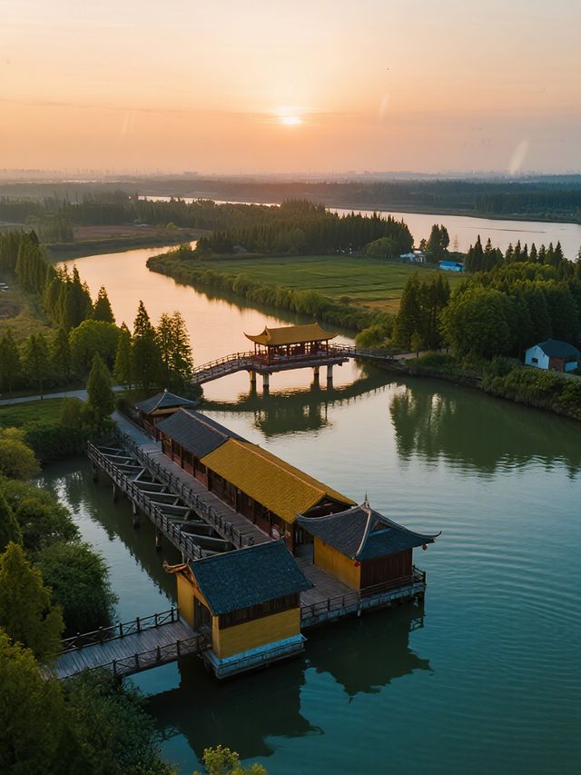 杭州灣濕地公園親子攻略!觀鳥+科普+遛娃一站 杭州灣濕地公園親子攻略!觀鳥+科普+遛娃一站