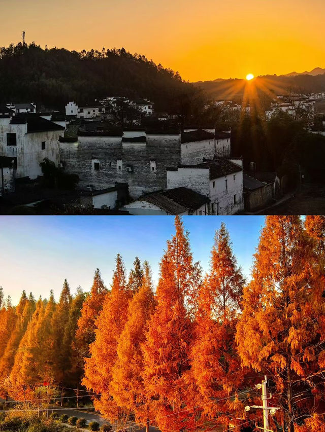 上饒三日賞秋攻略說好這篇就夠了！