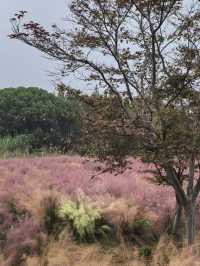 第一次去湖州玩直接複製這條日遊路線