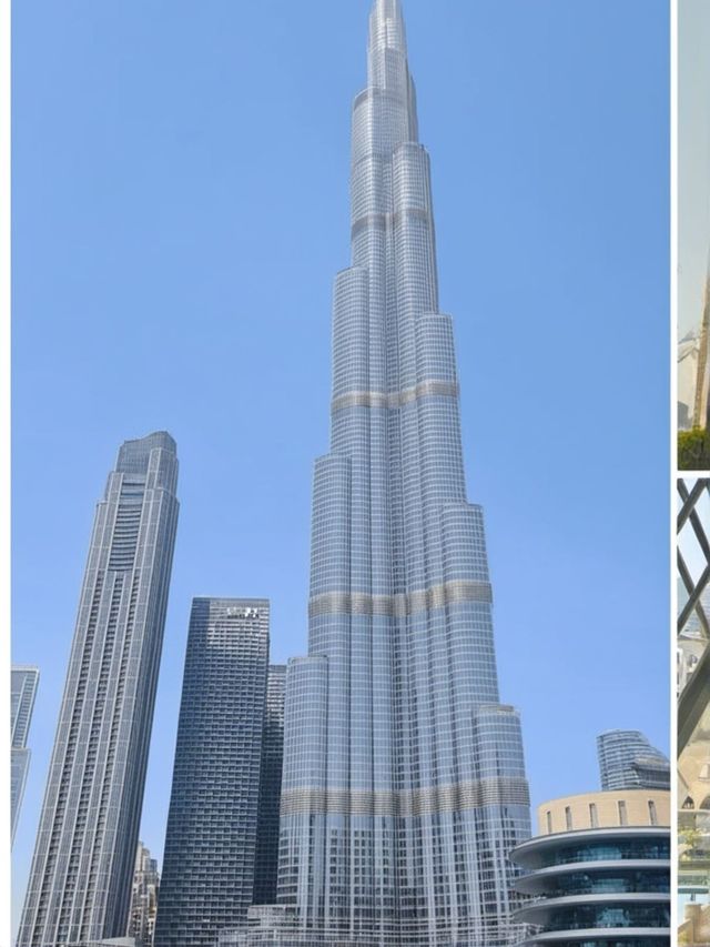 阿聯酋1日包車遊 爽玩攻略來啦