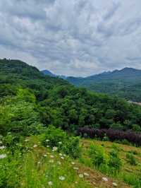 藏在城市裡的煙火秘境