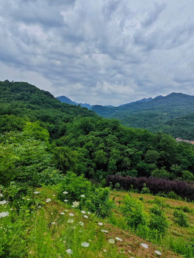 藏在城市裡的煙火秘境