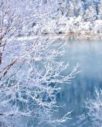 冬日童話屋住進九寨溝的雪花秘境裡！