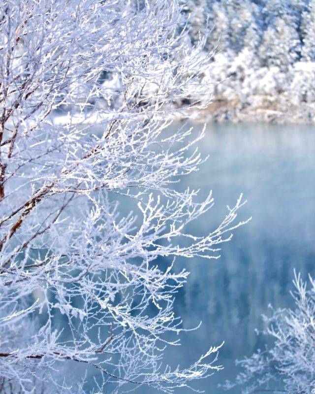 冬日童話屋住進九寨溝的雪花秘境裡！