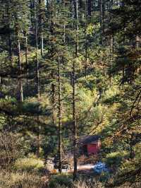 亞洲最大桌山瓦屋山雲海全攻略沒下雪也絕美