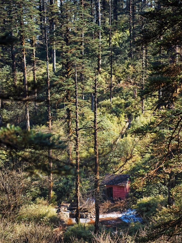 亞洲最大桌山瓦屋山雲海全攻略沒下雪也絕美 亞洲最大桌山瓦屋山雲海全攻略沒下雪也絕美
