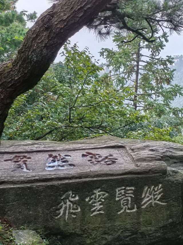 縱覽雲飛石~空中觀景台 縱覽雲飛石~空中觀景台