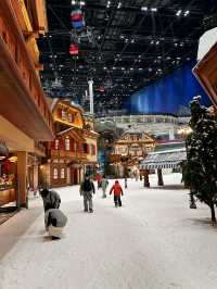 Крупнейший в мире крытый горнолыжный комплекс. Шанхай🇨🇳