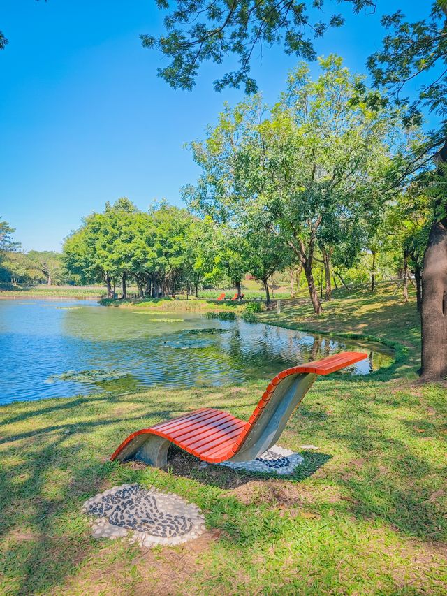 去一萬次都不夠！深圳我最愛的治癒系公園！