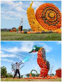 寧波人玩達人村都辦年卡了，你還在買門票嗎？