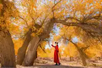 誰懂啊！西北才是年輕人的精神出逃地