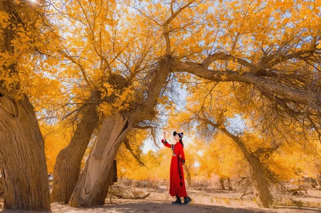 誰懂啊！西北才是年輕人的精神出逃地