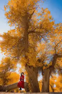 誰懂啊！西北才是年輕人的精神出逃地