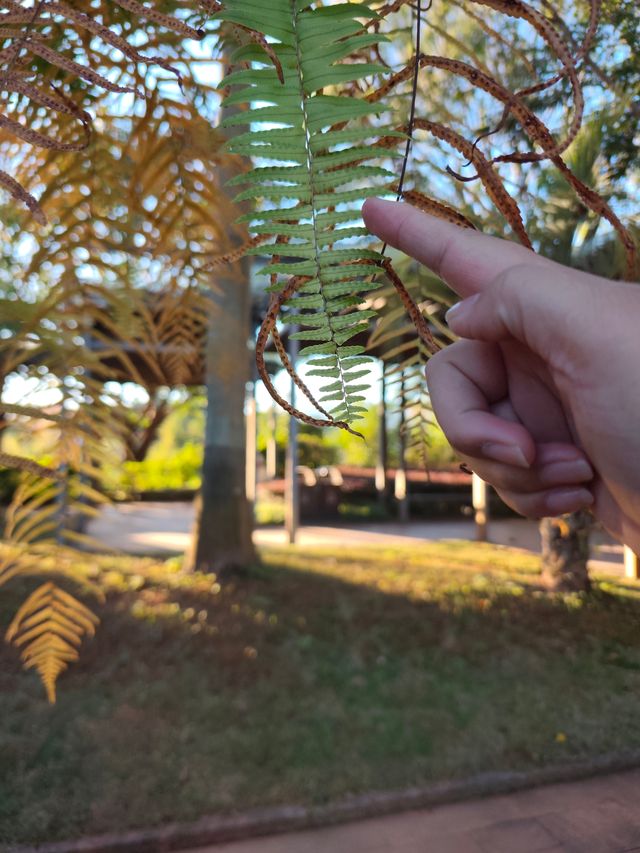 普洱這個小眾秘境，藏著最治癒的冬日暖陽