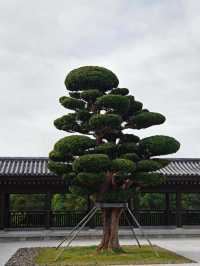 香港慈山寺|世界第二高的戶外觀音立像