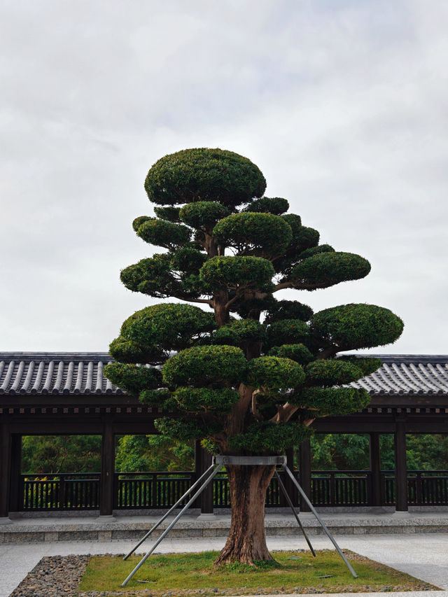 香港慈山寺|世界第二高的戶外觀音立像 香港慈山寺|世界第二高的戶外觀音立像