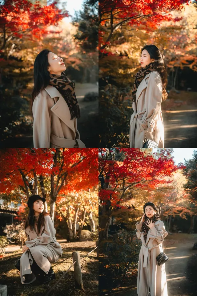 福岡紅葉季來了!! 福岡紅葉季來了!!