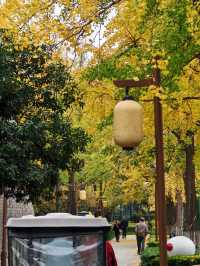 西安城牆賞秋好去處