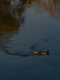 南京｜雞鳴寺-玄武湖