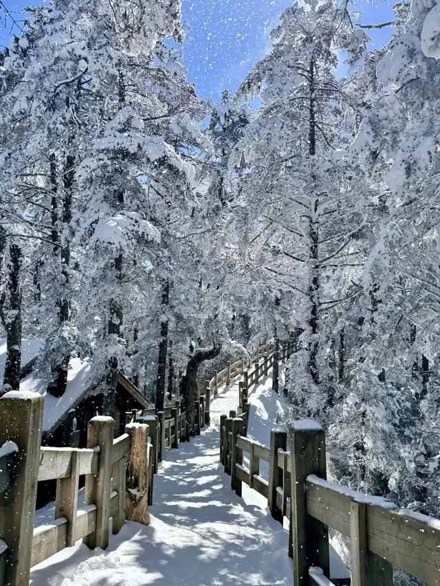 西嶺雪山下雪實況！1日遊成都往返才花68