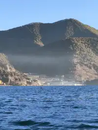 被瀘沽湖美鼠！12.4實拍！