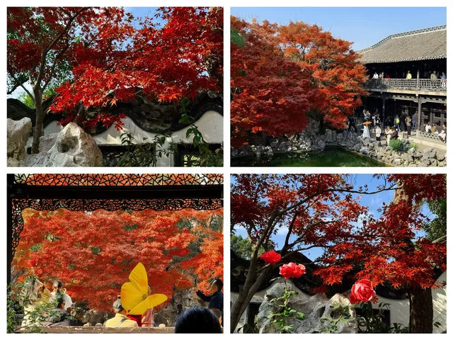 週末打卡一座城之揚州day2