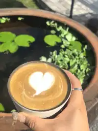 舟山店!!山腳下的悠閒村咖!!