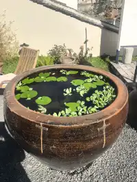 舟山店!!山腳下的悠閒村咖!!