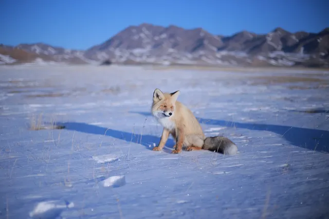 賽里木湖|瞬間懂了大西洋最後一滴眼淚 賽里木湖|瞬間懂了大西洋最後一滴眼淚
