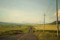 呼倫貝爾最美自駕線|走這一條路就夠了