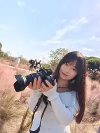 週末玩轉湖州莫干山 and 下渚湖濕地公園