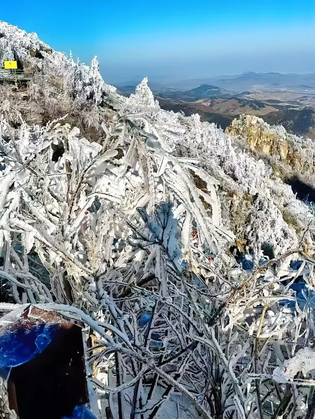 12月中莽山現狀,冷到哭,崩潰到想逃... 12月中莽山現狀,冷到哭,崩潰到想逃...
