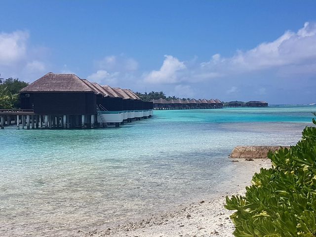 滿月島酒店|撿到寶藏般的快樂度假 : 馬爾代夫滿月島度假村 Furanafushi 滿月島酒店|撿到寶藏般的快樂度假 : 馬爾代夫滿月島度假村 Furanafushi