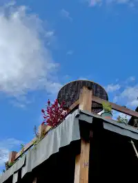 昆明大學生週末特種兵：景邁山24h住進傣家古