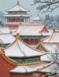 紫禁冬韻 | 紅牆白雪與時光的詩