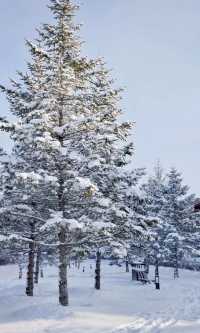 長白山滑雪住喜來登 南方小土豆的冰雪世界
